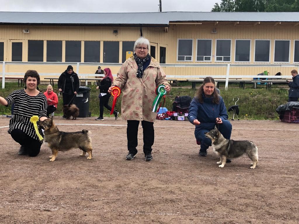 Kuva: Maija Henttonen