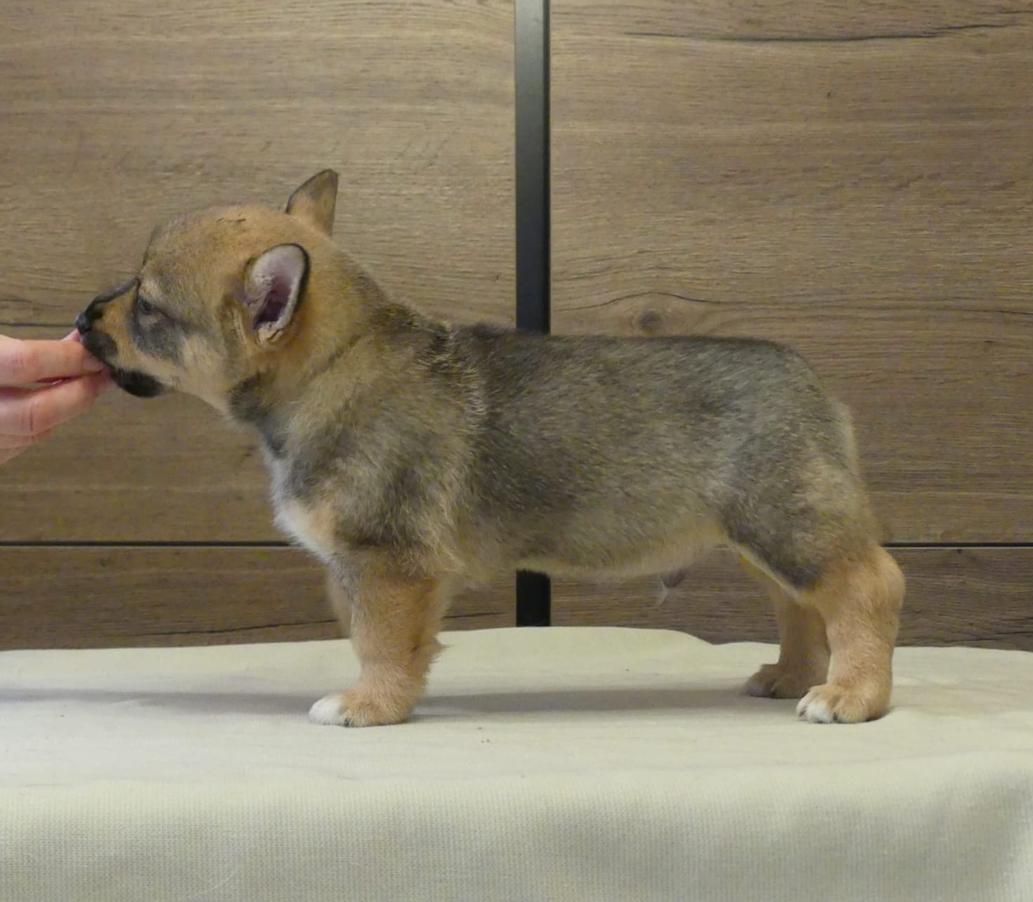 Kuva: Hanna Virtanen