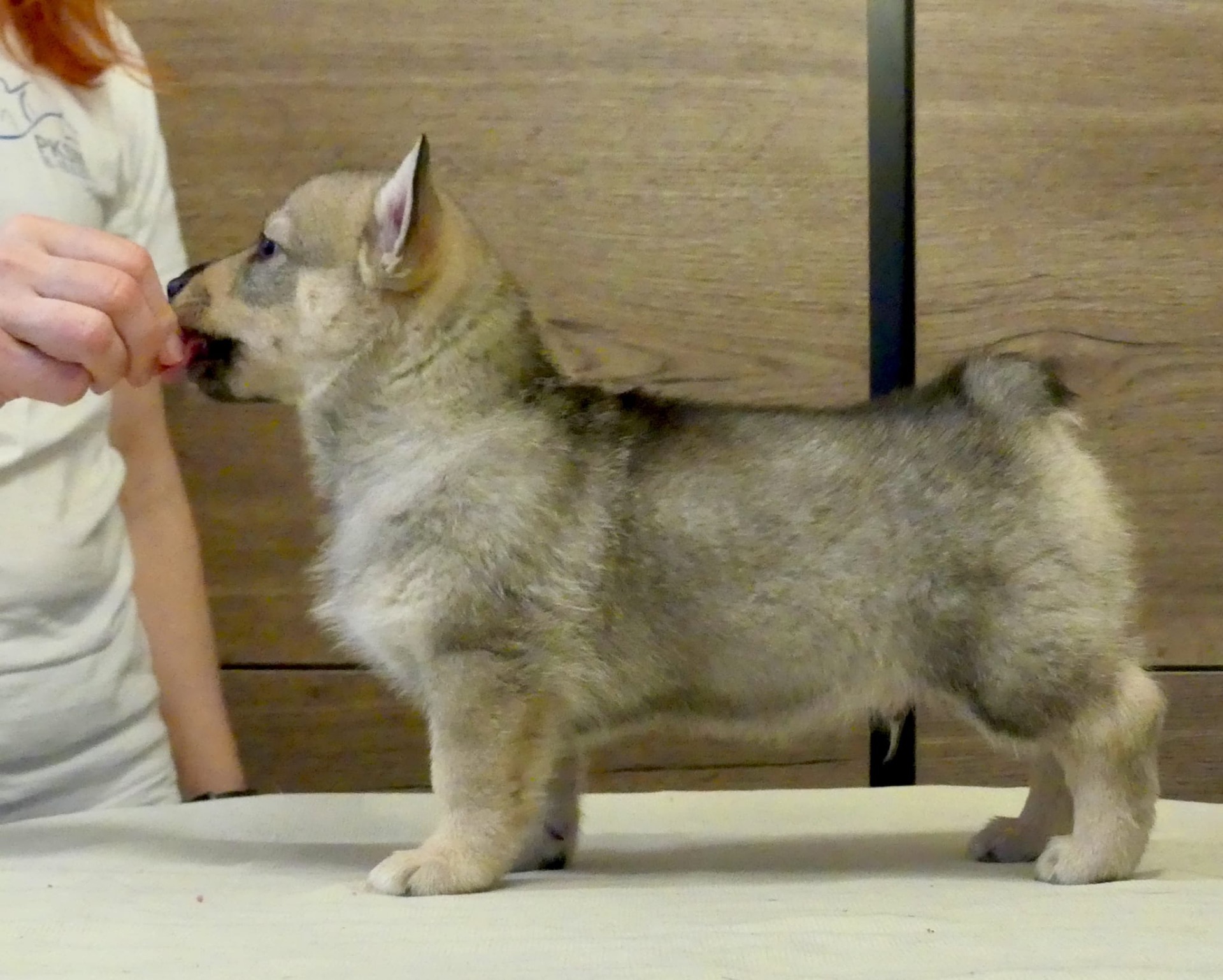 Kuva: Hanna Virtanen