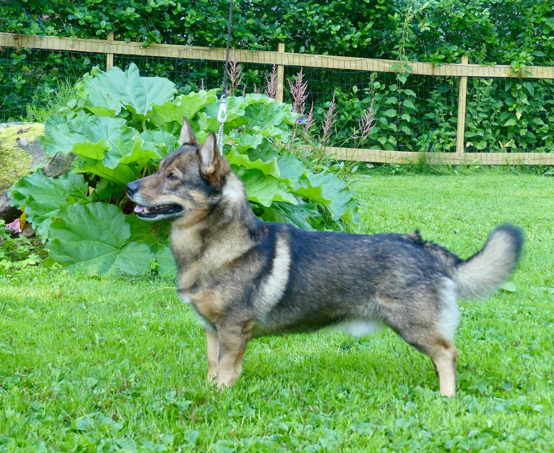 Kuva: Hanna Virtanen